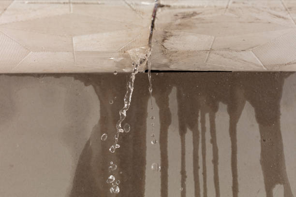 Professional Burst Pipe Cleanup technician working in Jacks Creek, TN